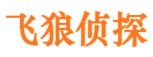 鹤峰侦探